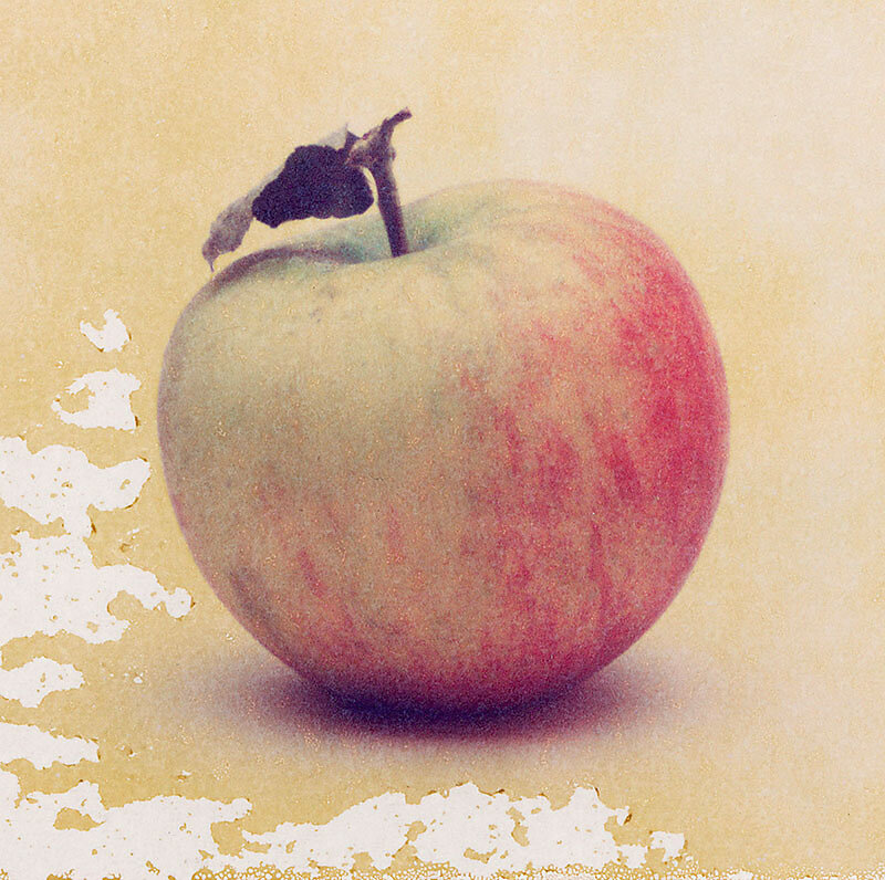 Stillleben eines Apfels aus der Serie "von Anfang bis Ende"