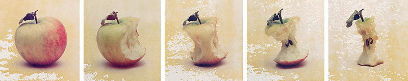 Stillleben eines Apfels aus der Serie "von Anfang bis Ende"