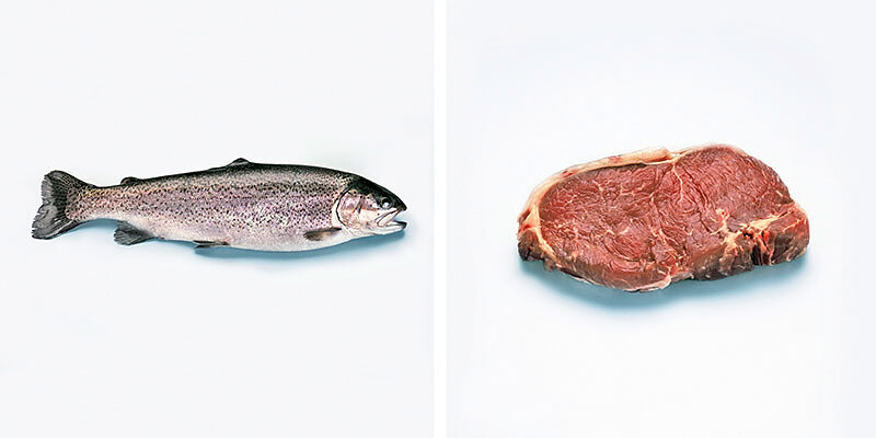 Fisch und Fleisch - Stillleben aus der Serie "Sprichwörter"